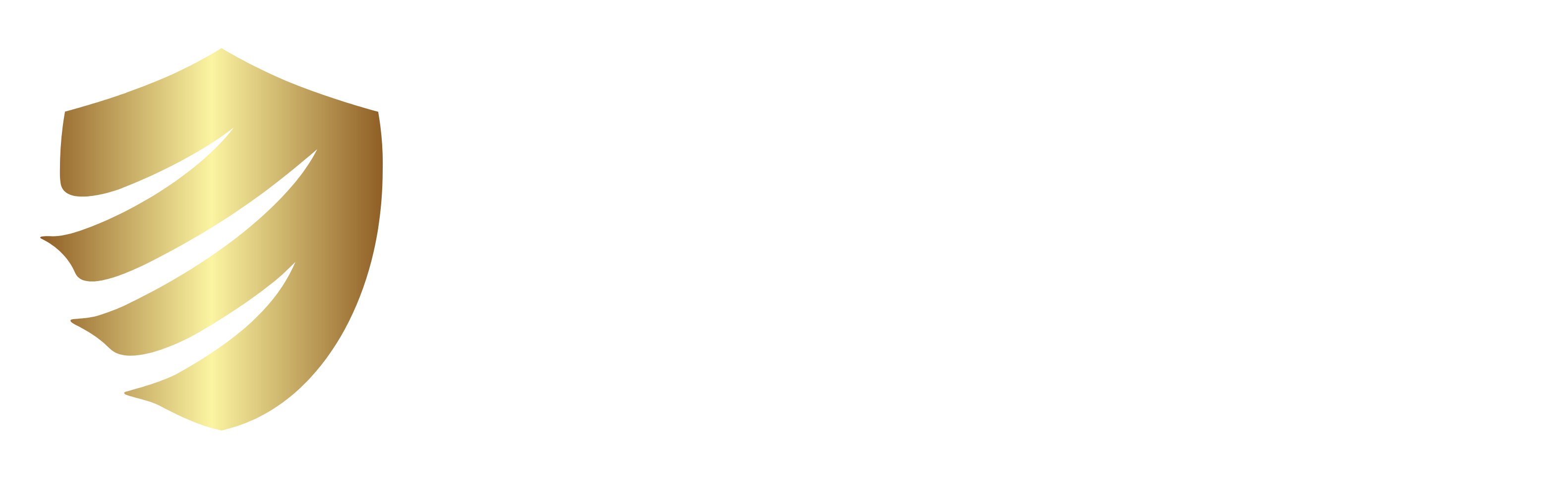 National Senior Insurance Services